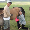 Munkhbat and Gereltuya milking one of their mares in the first step of making airaq