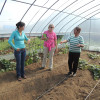 BioRegions Research Coordinator Badmaa Dovchin, Montana State University Business Professor Martha Joh Reeder, and Orkhon soum vegetable grower discuss business strategies