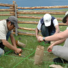 Visiting students and local herders clipping vegetation to document effects of grazing on standing biomass